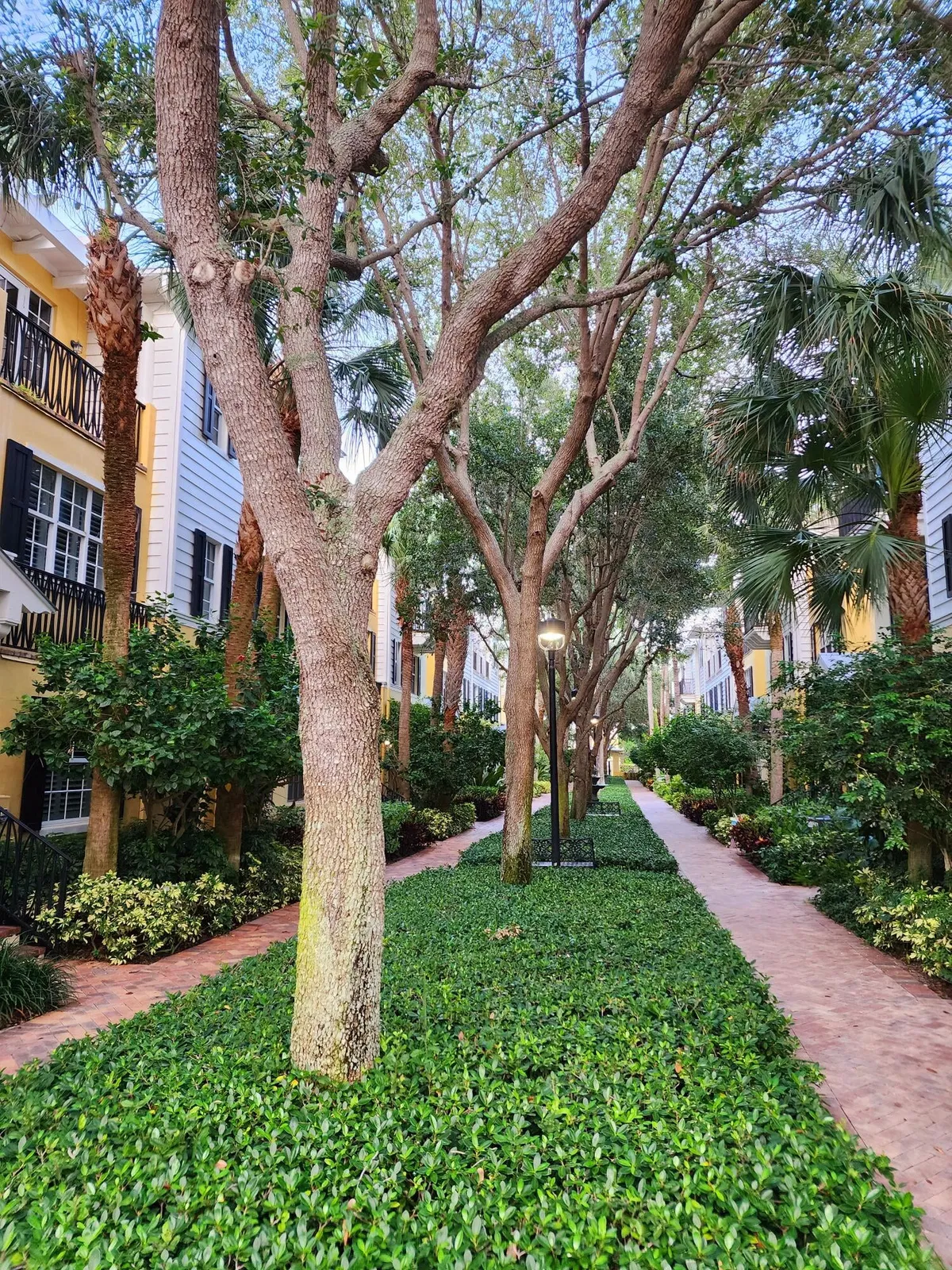 Magnolia Court Residence photo 4