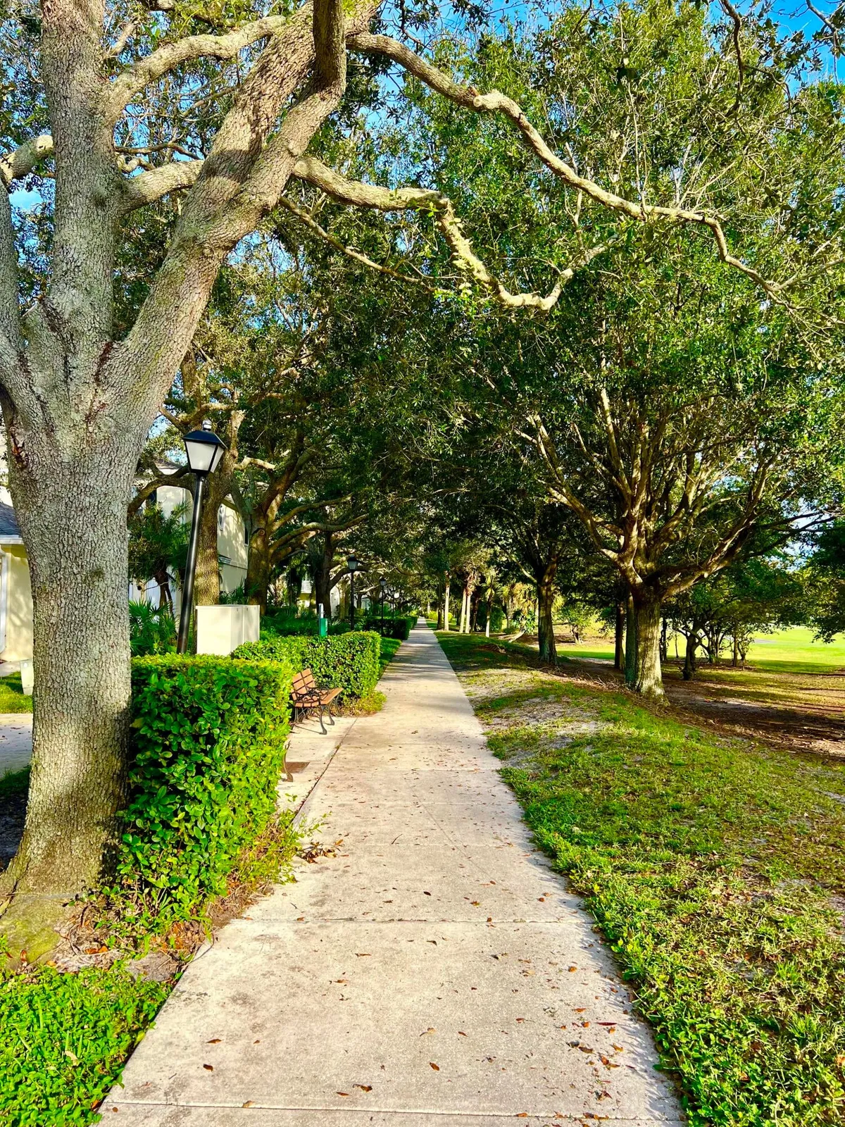 Charleston Court at Abacoa Residence photo 4