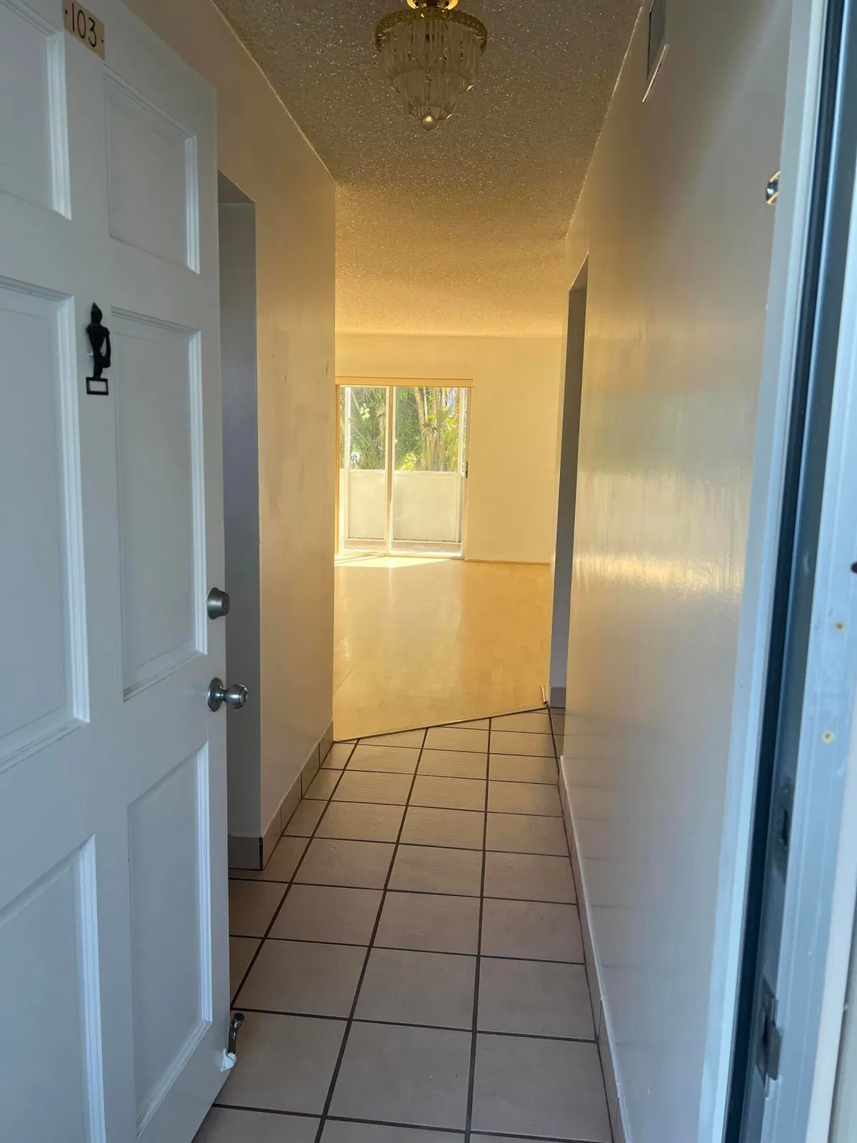 Unit 103 photo 4