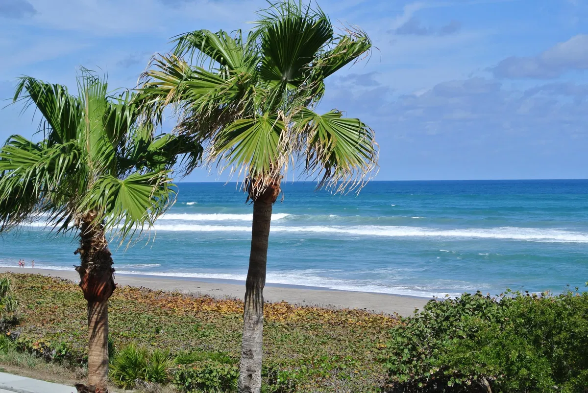Jupiter Key Residence photo 22