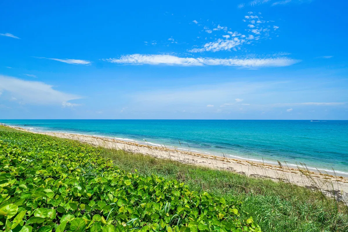 Sloan's Curve Palm Beach Unit 208n photo 22