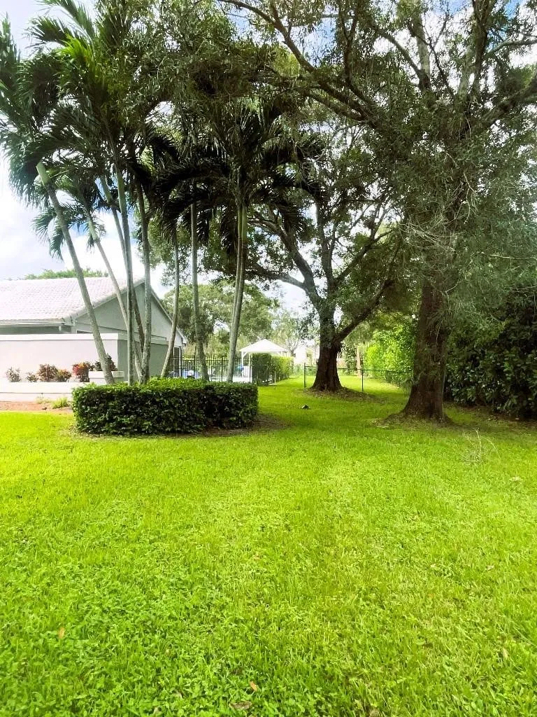 Paddock Park Residence photo 37