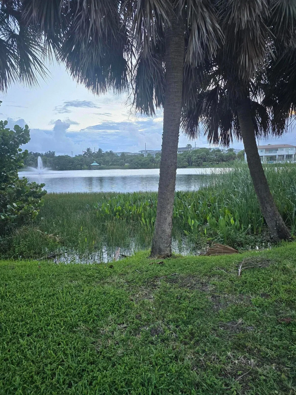  Unit 204 photo 31