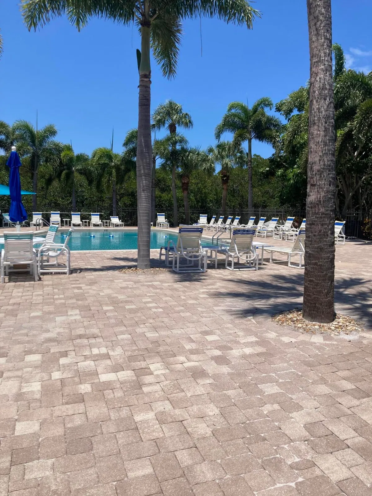  Unit 13-204 photo 25