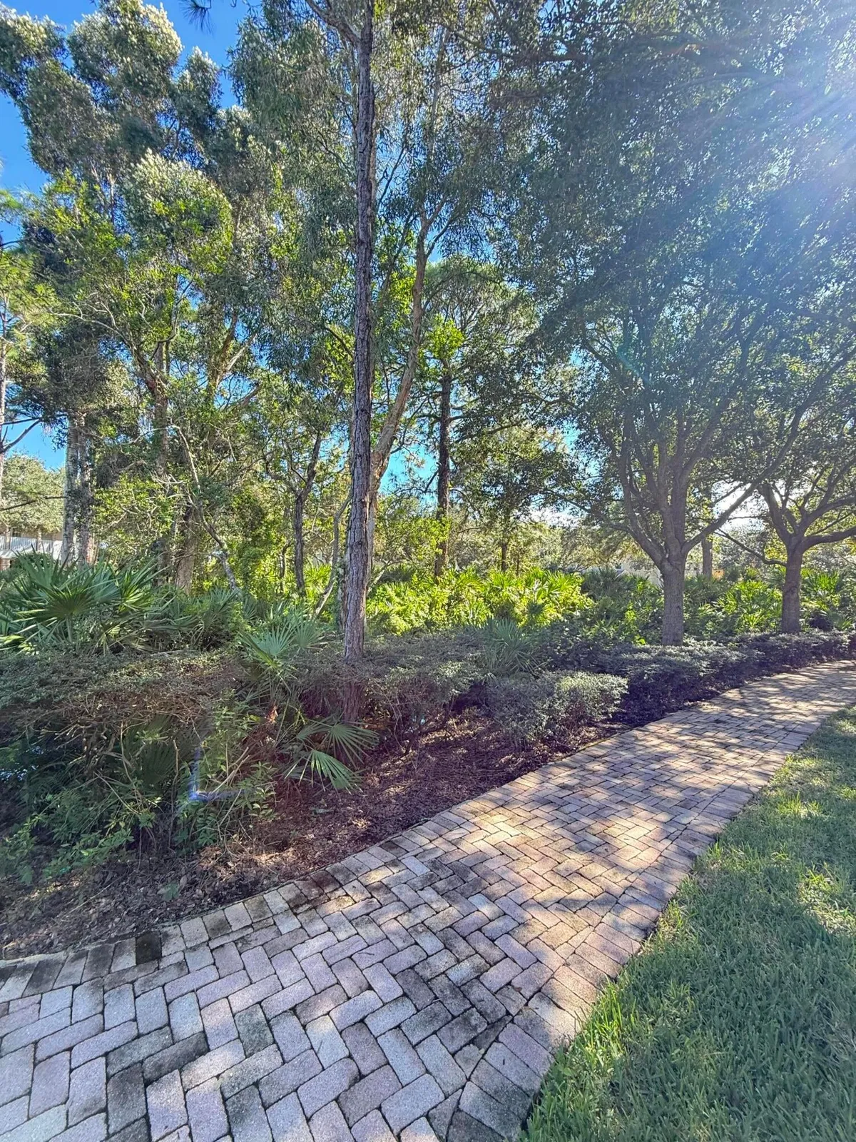 Botanica Residence photo 7