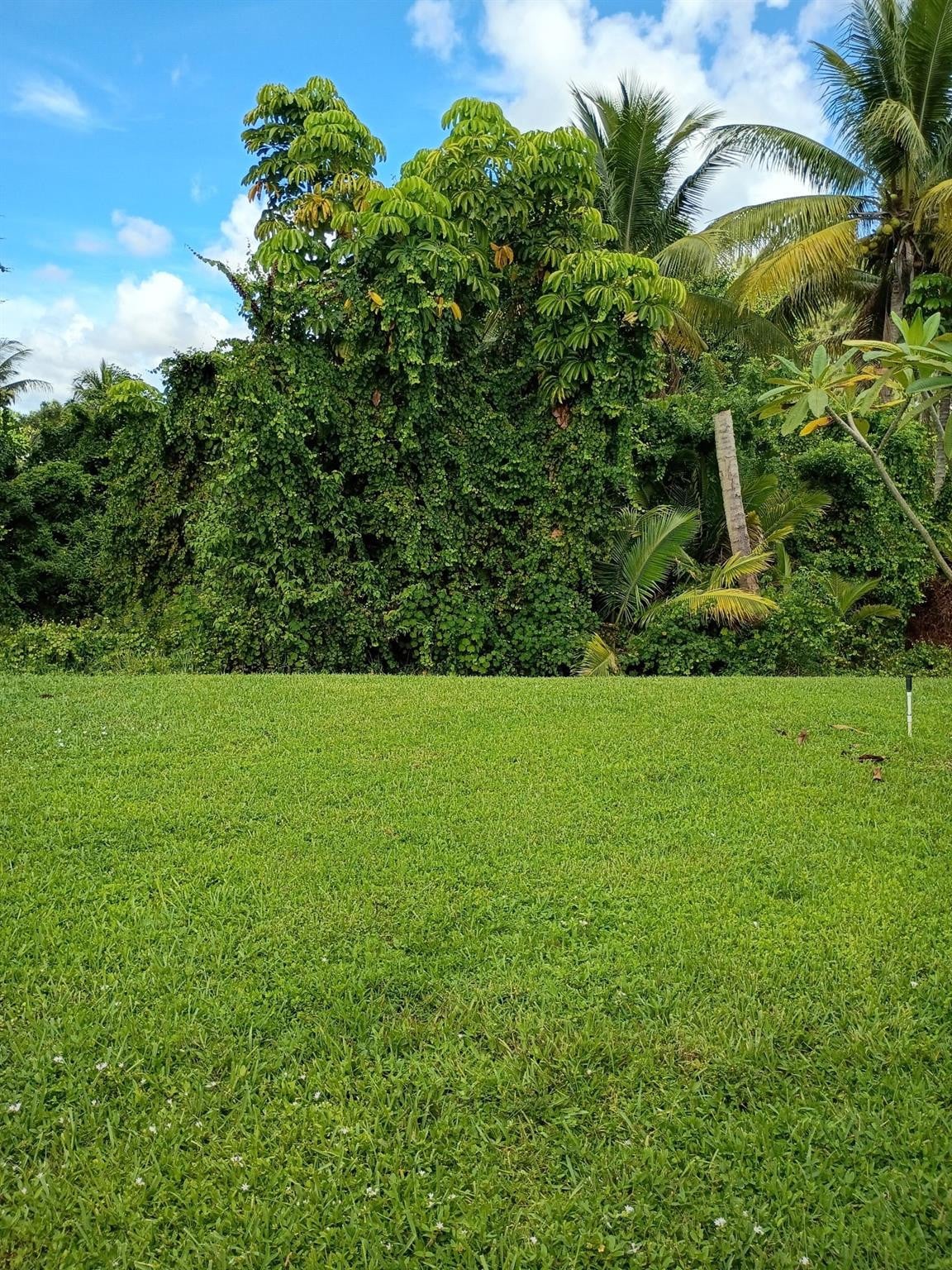Residence photo 37