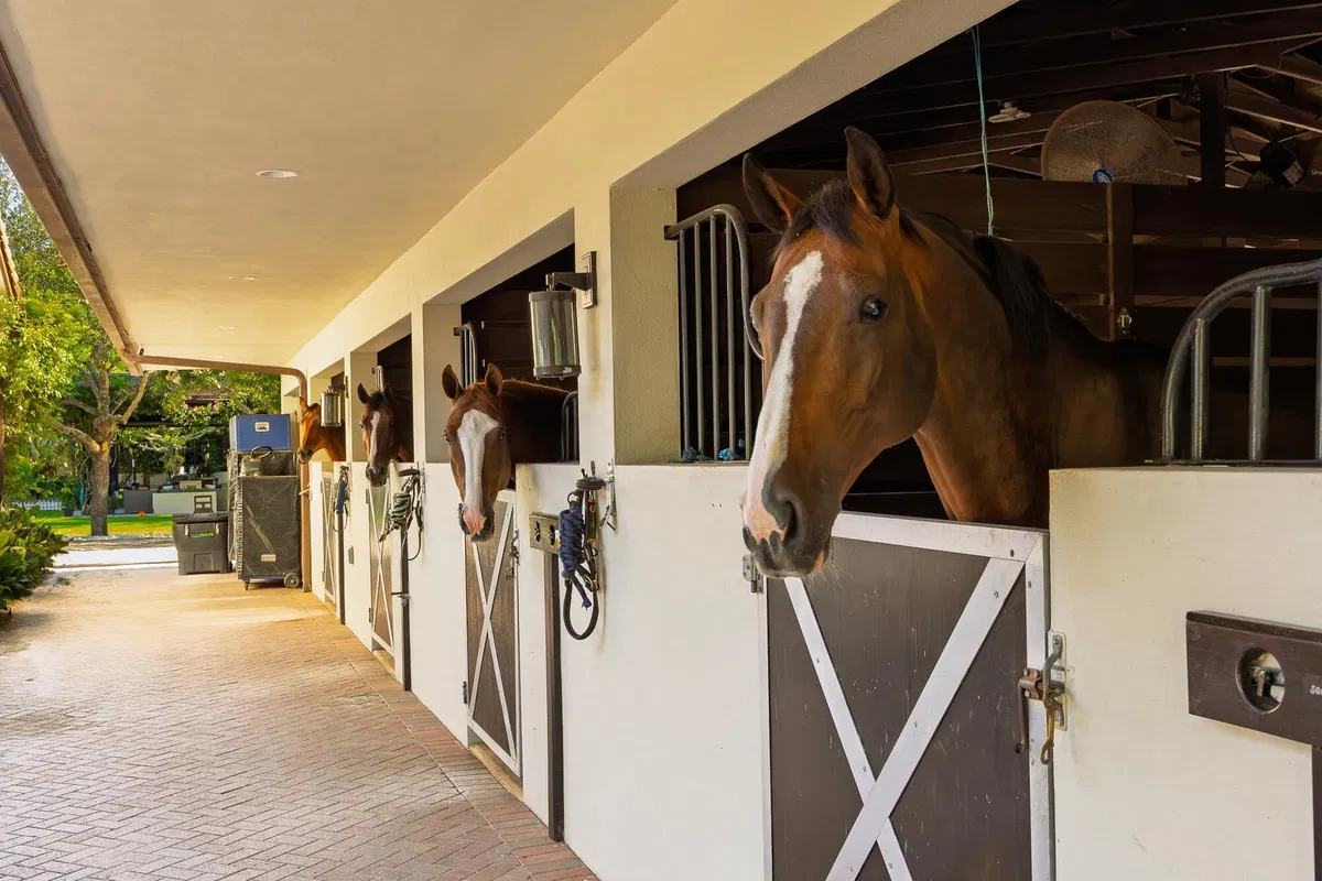 Unit (Stalls) photo 13