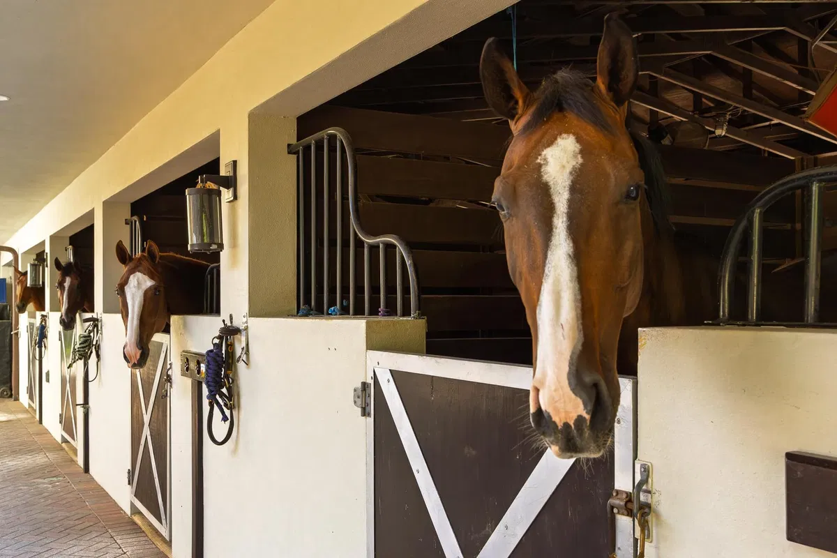 Unit (Stalls) photo 43
