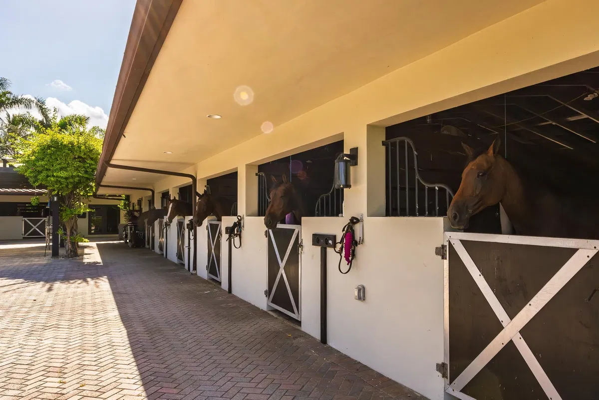 Unit (Stalls) photo 55