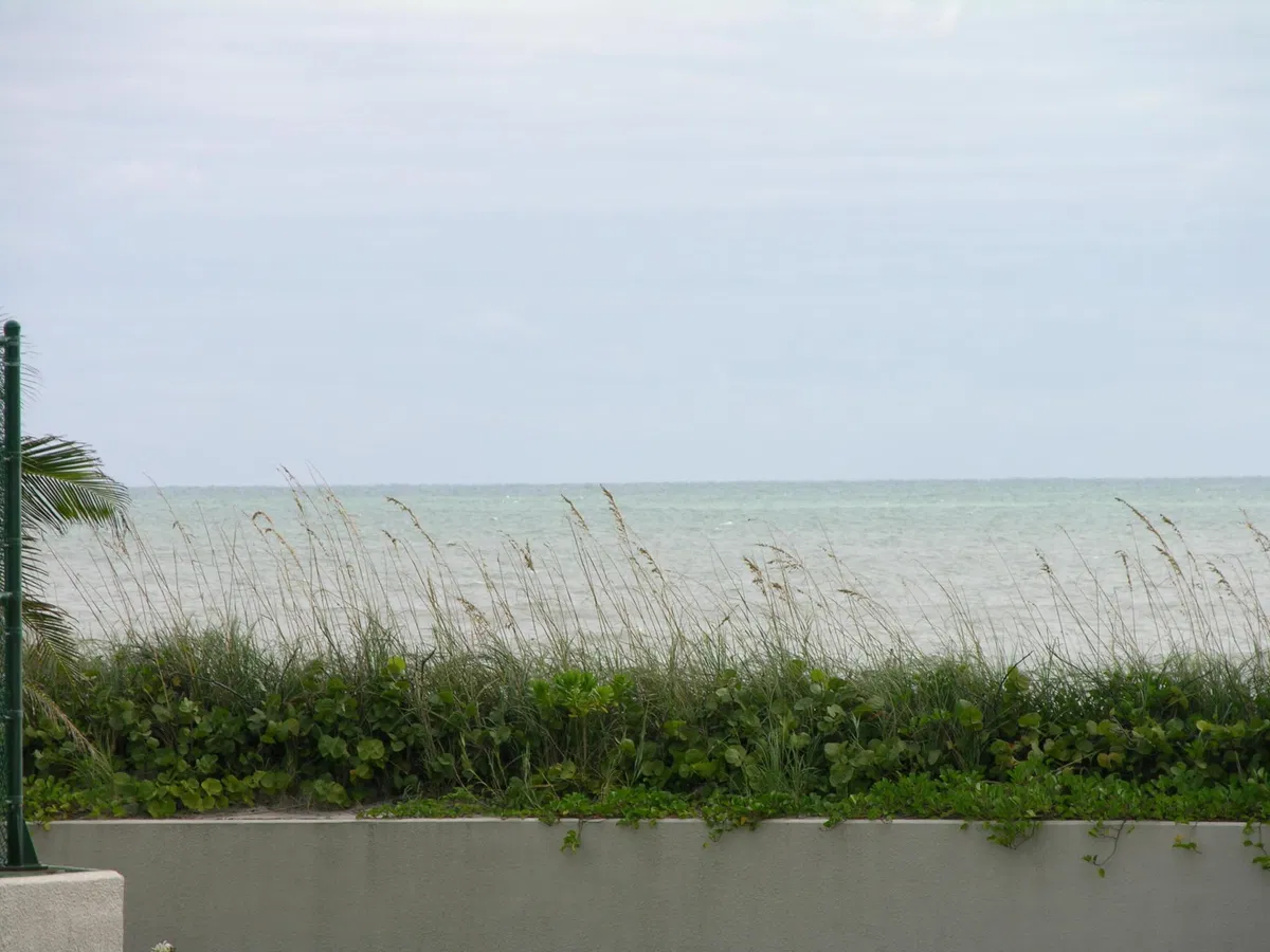 Water Glades Unit 2b photo 46