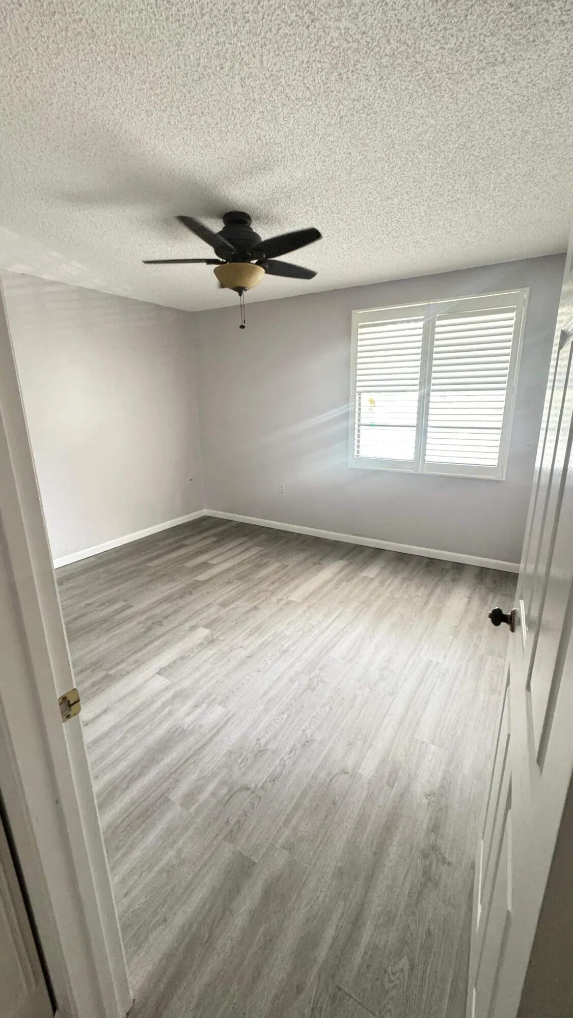 Unit 202 photo 16