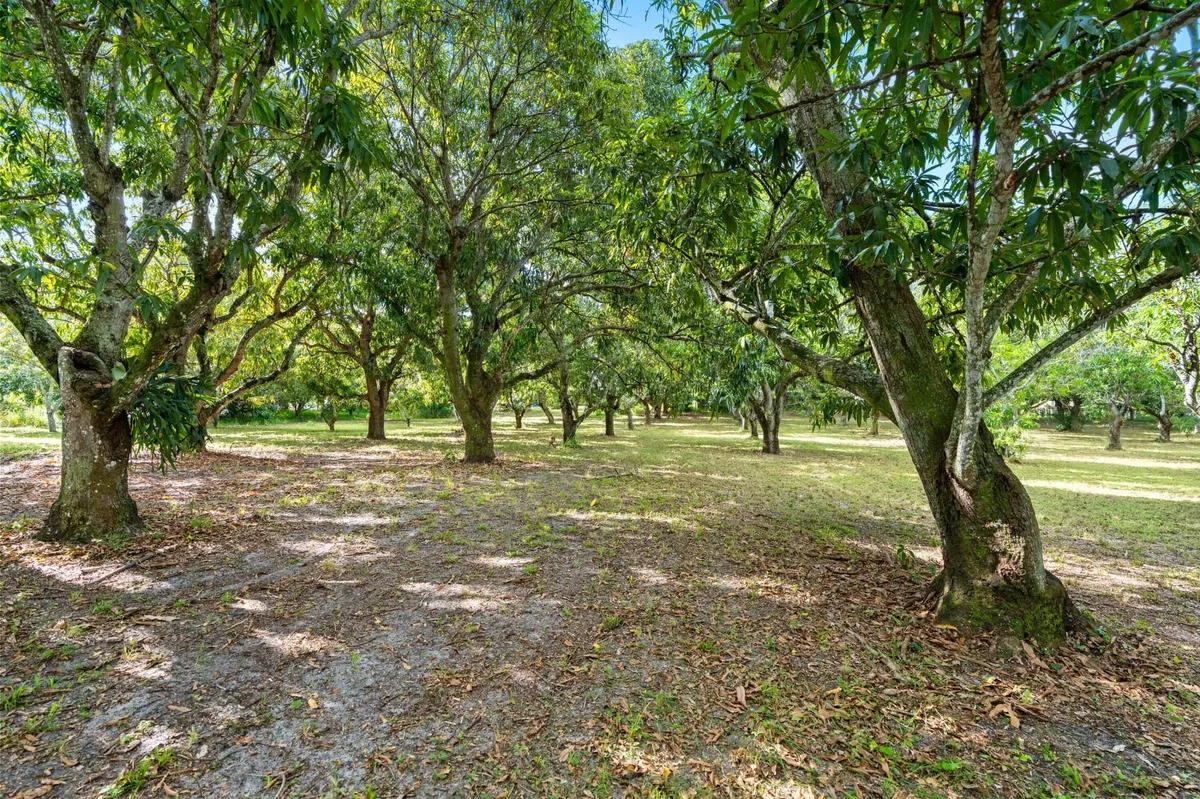 Residence photo 10