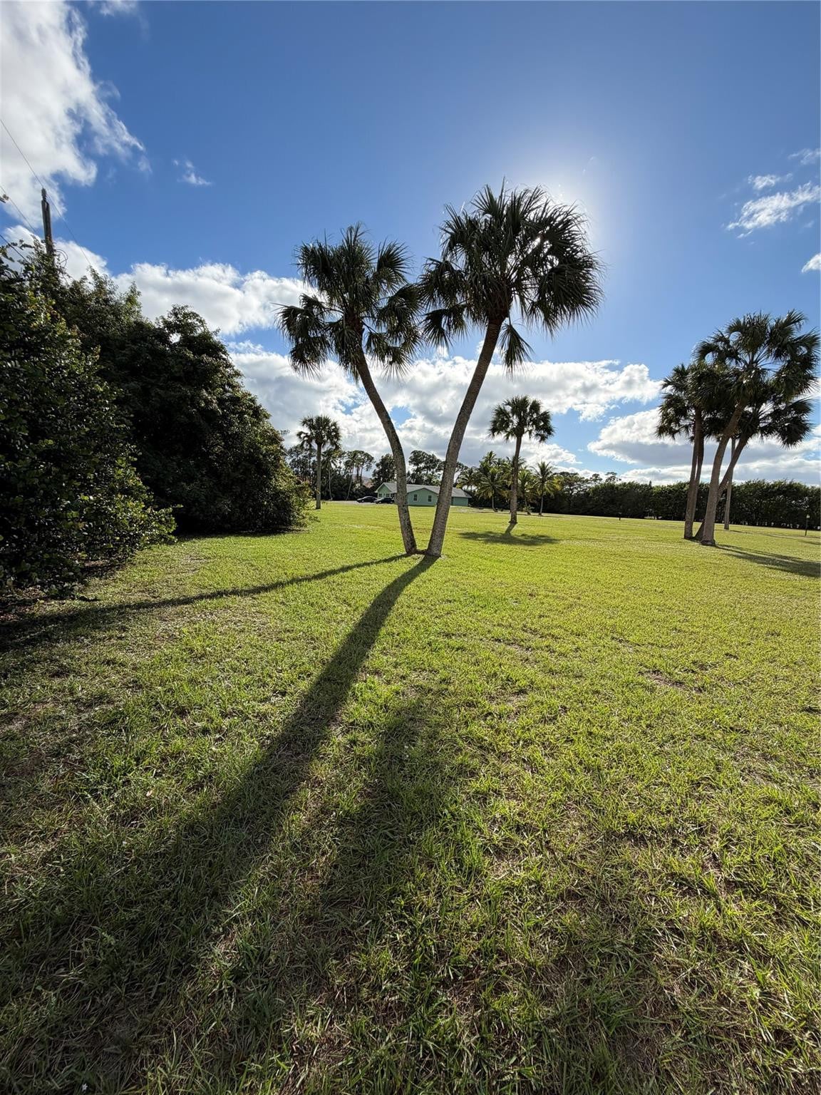 Residence photo 19