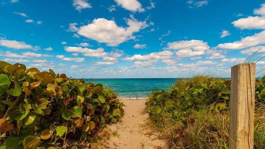 Singer Island Unit B1a photo 28
