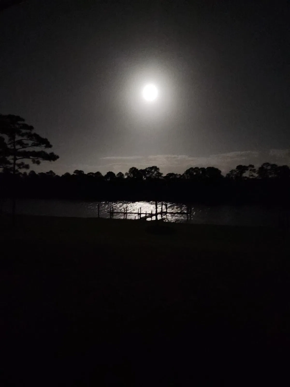 Unit Lane photo 76
