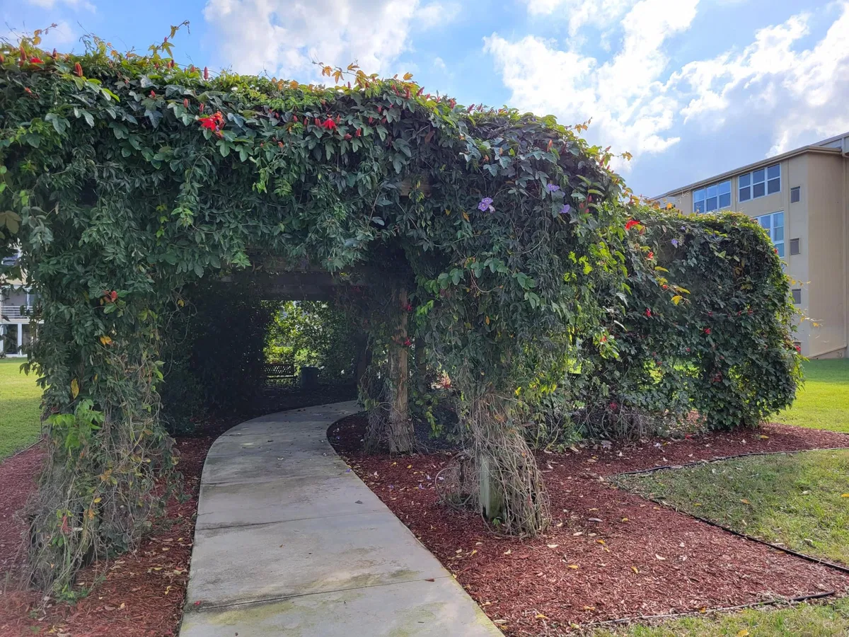 Unit 408 photo 37