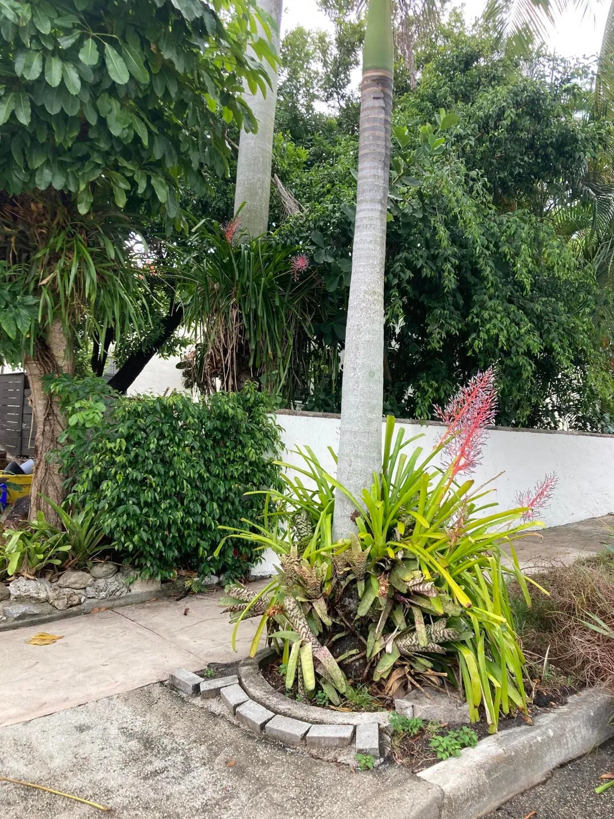 West Palm Beach Residence photo 13