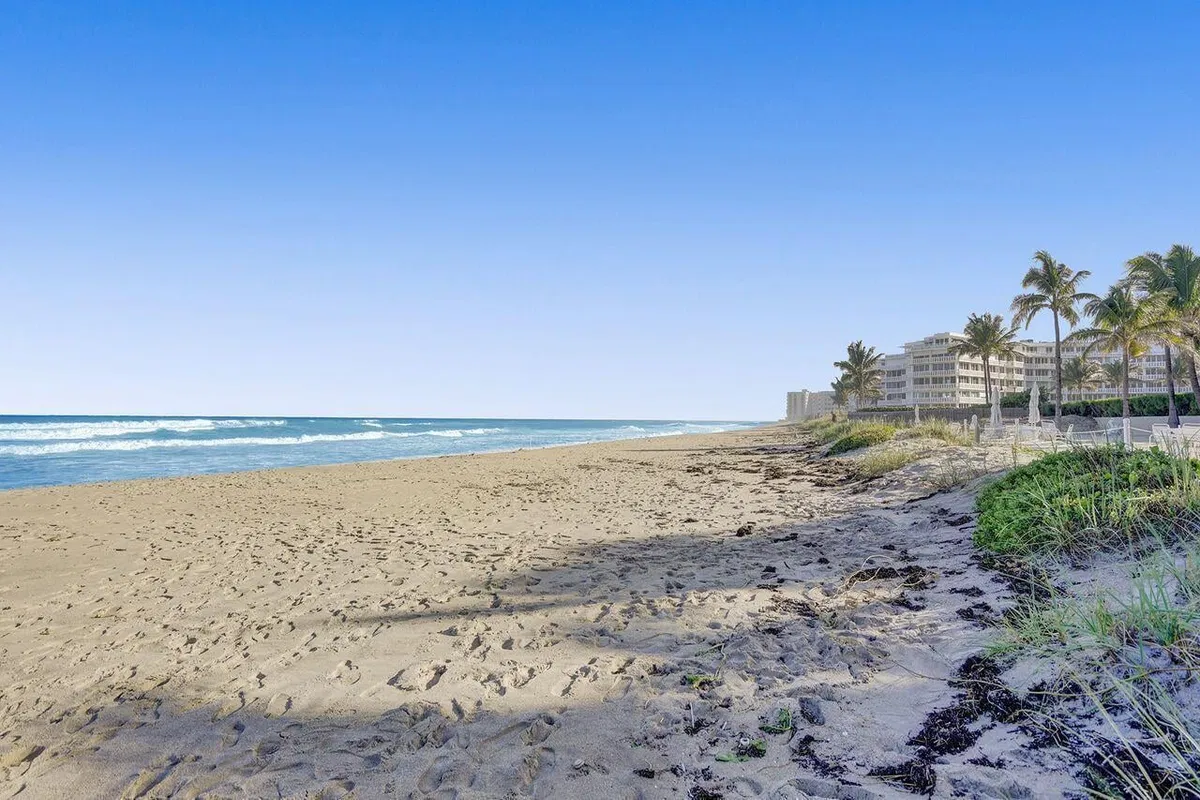  Unit 2019 photo 34