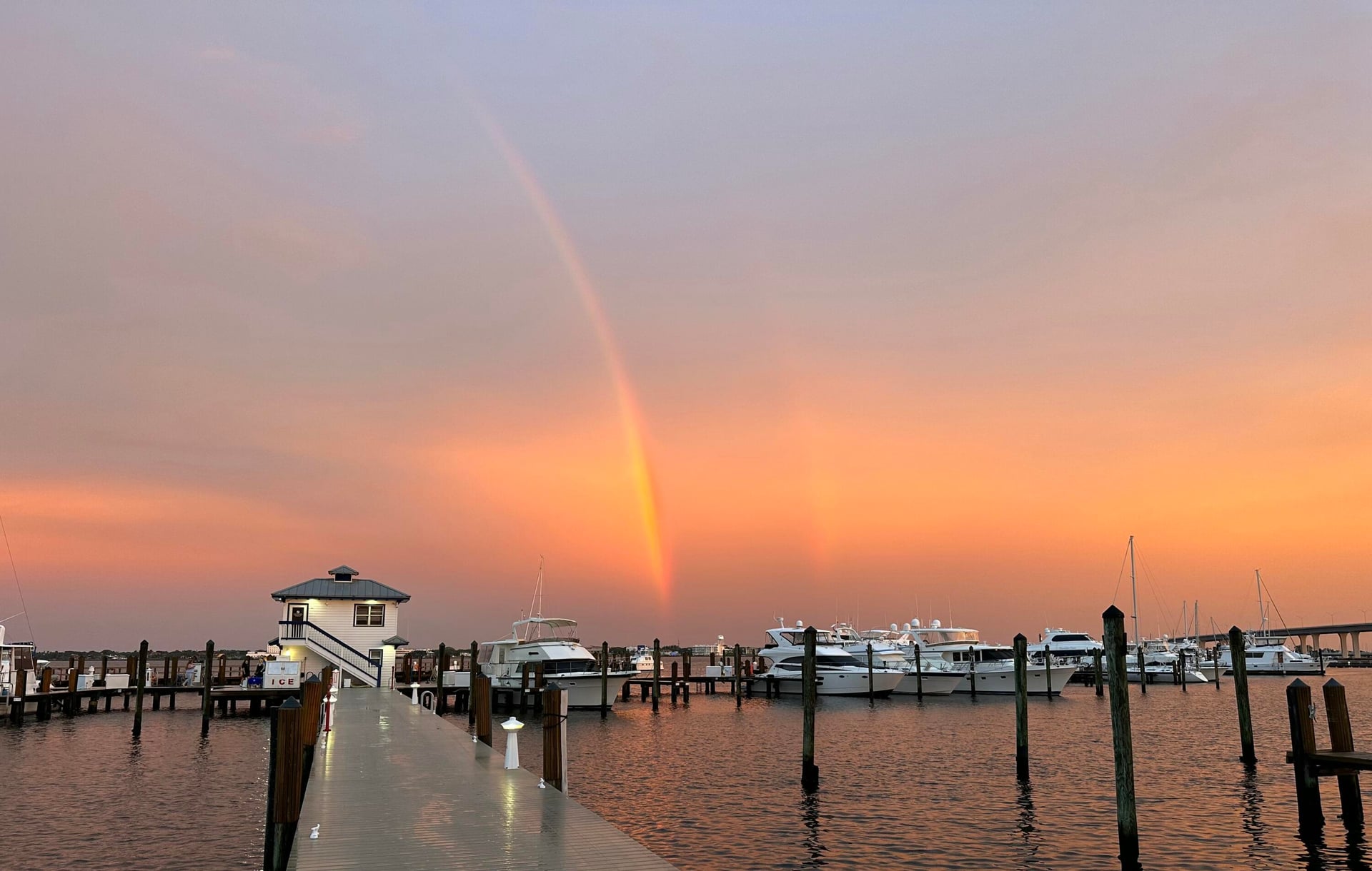 Harborage Yacht Club Unit 403 photo 40