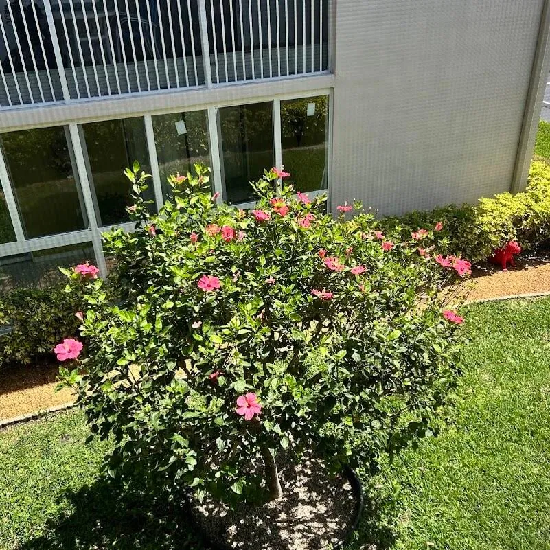 Residence photo 31