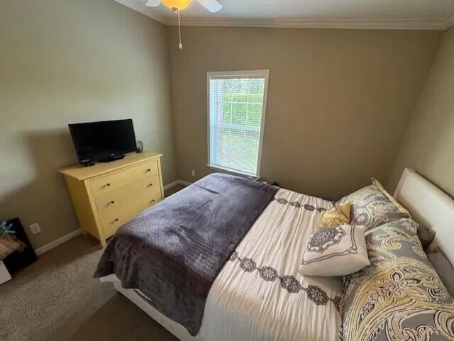 Unit 136 photo 34