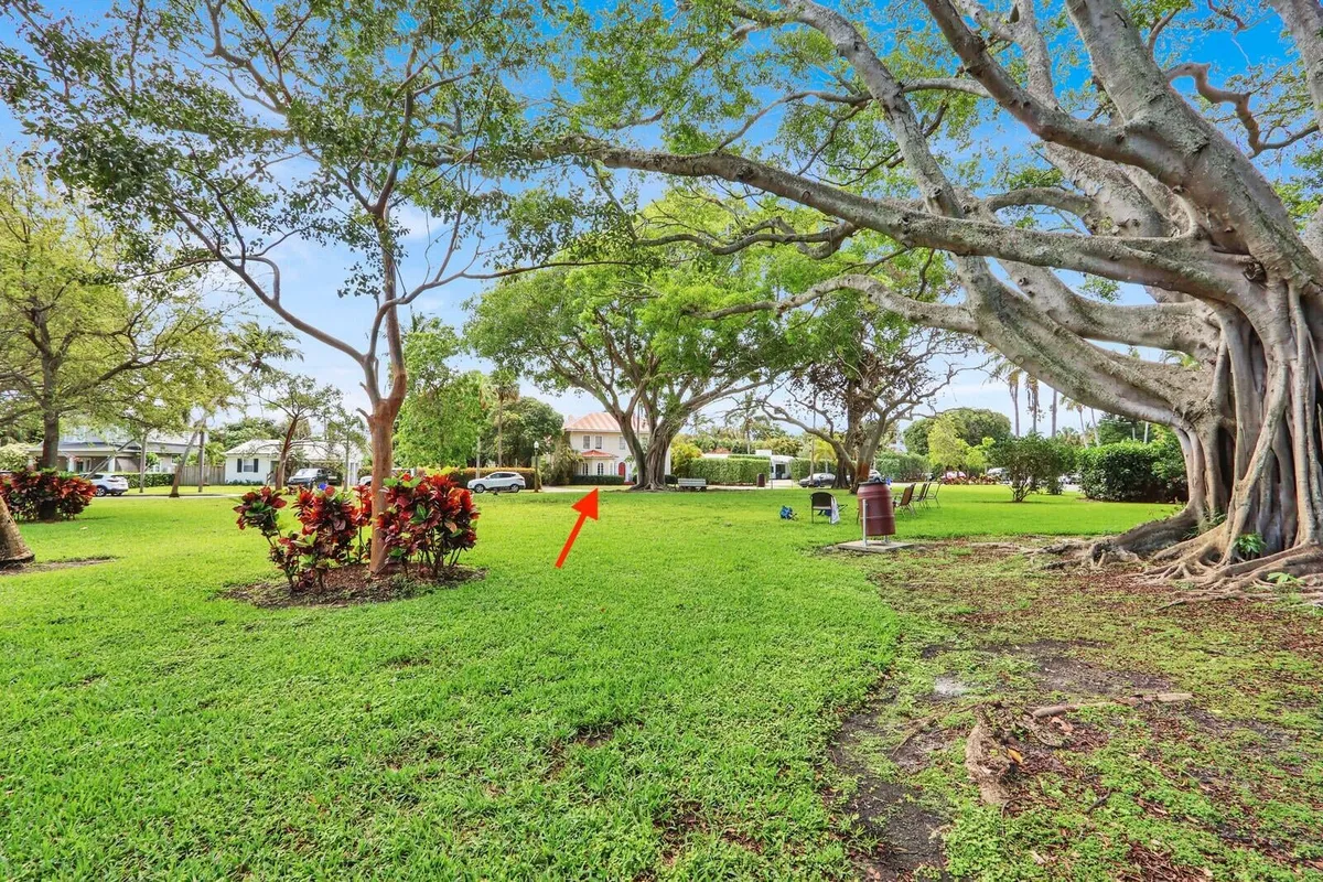 Prospect Park & Southland Park Residence photo 64