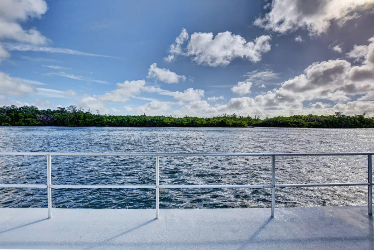 Unit 102 photo 28