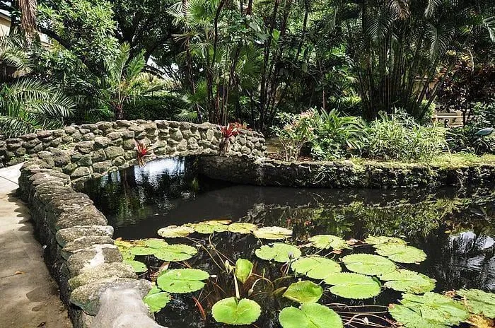 Unit 206 photo 34