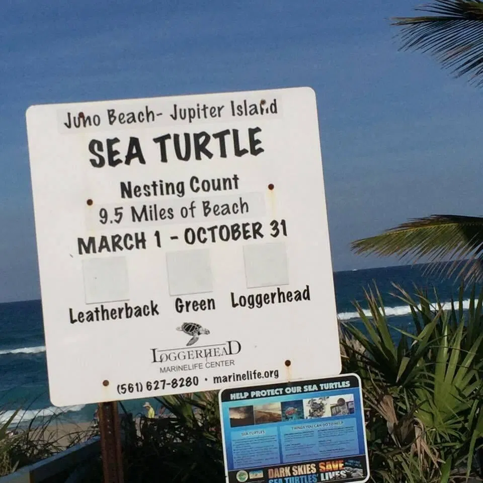 Ocean Trail East Jupiter Unit 1209 photo 28