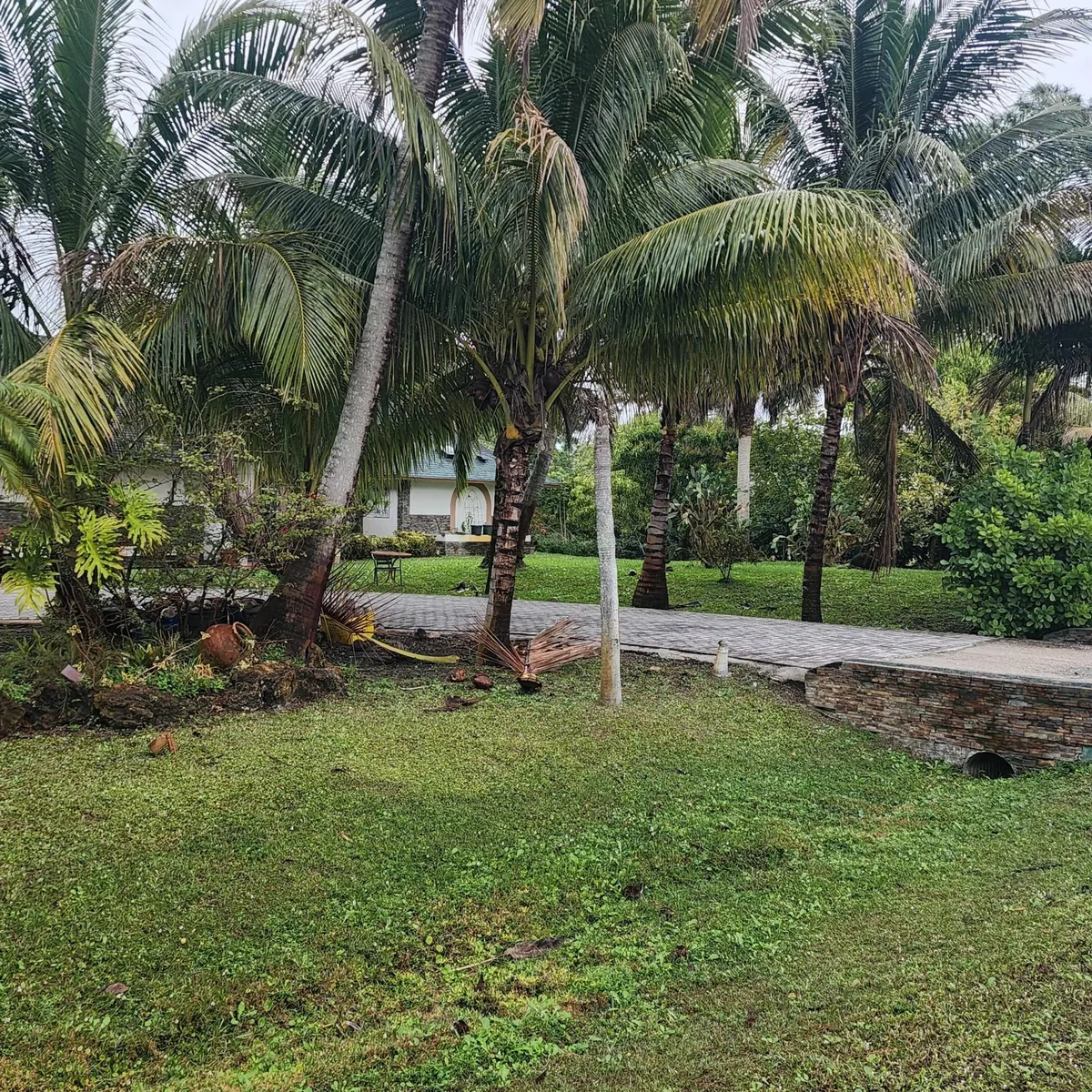 Residence photo 4