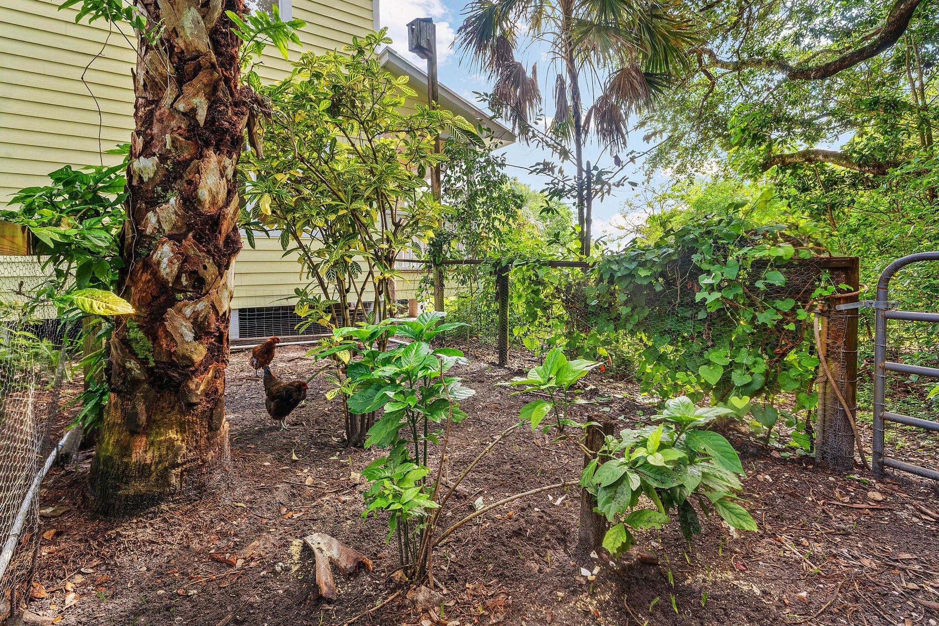 Residence photo 49