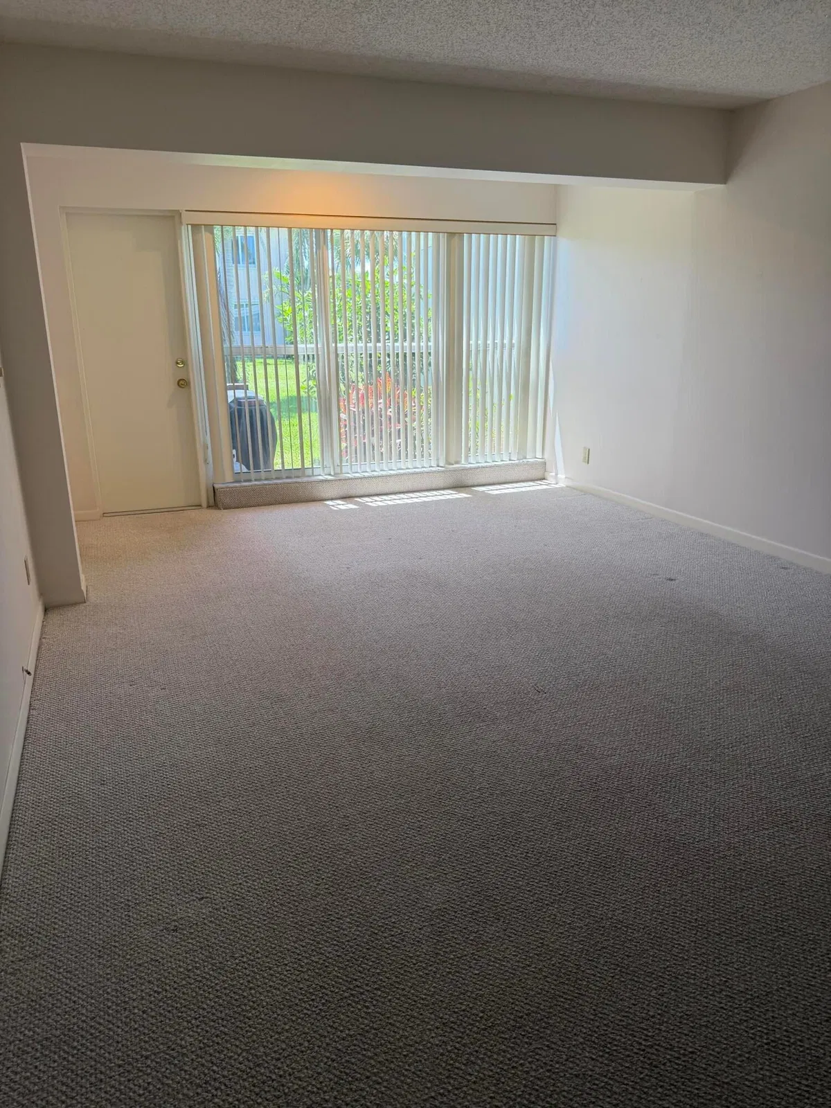 Unit 101 photo 4