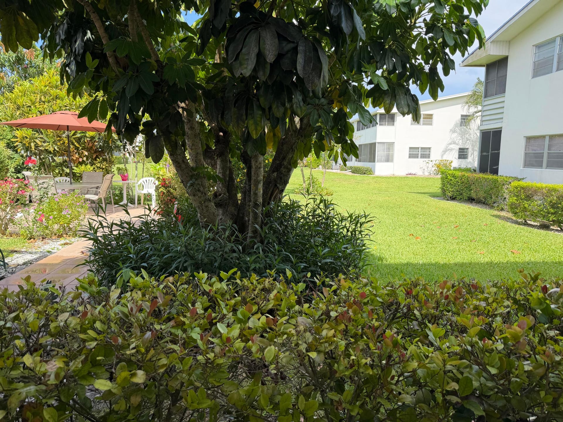 Residence photo 4