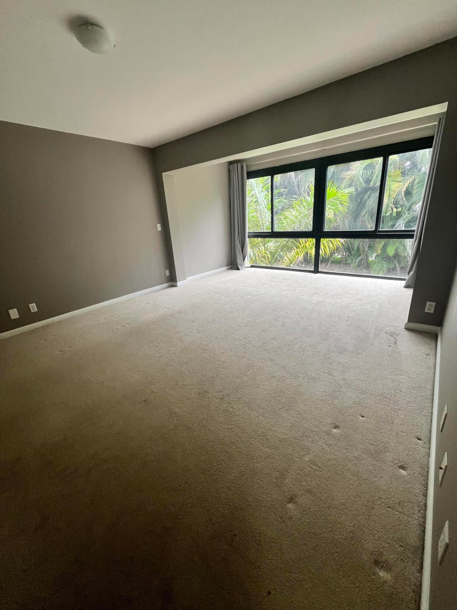 Unit 203 photo 4