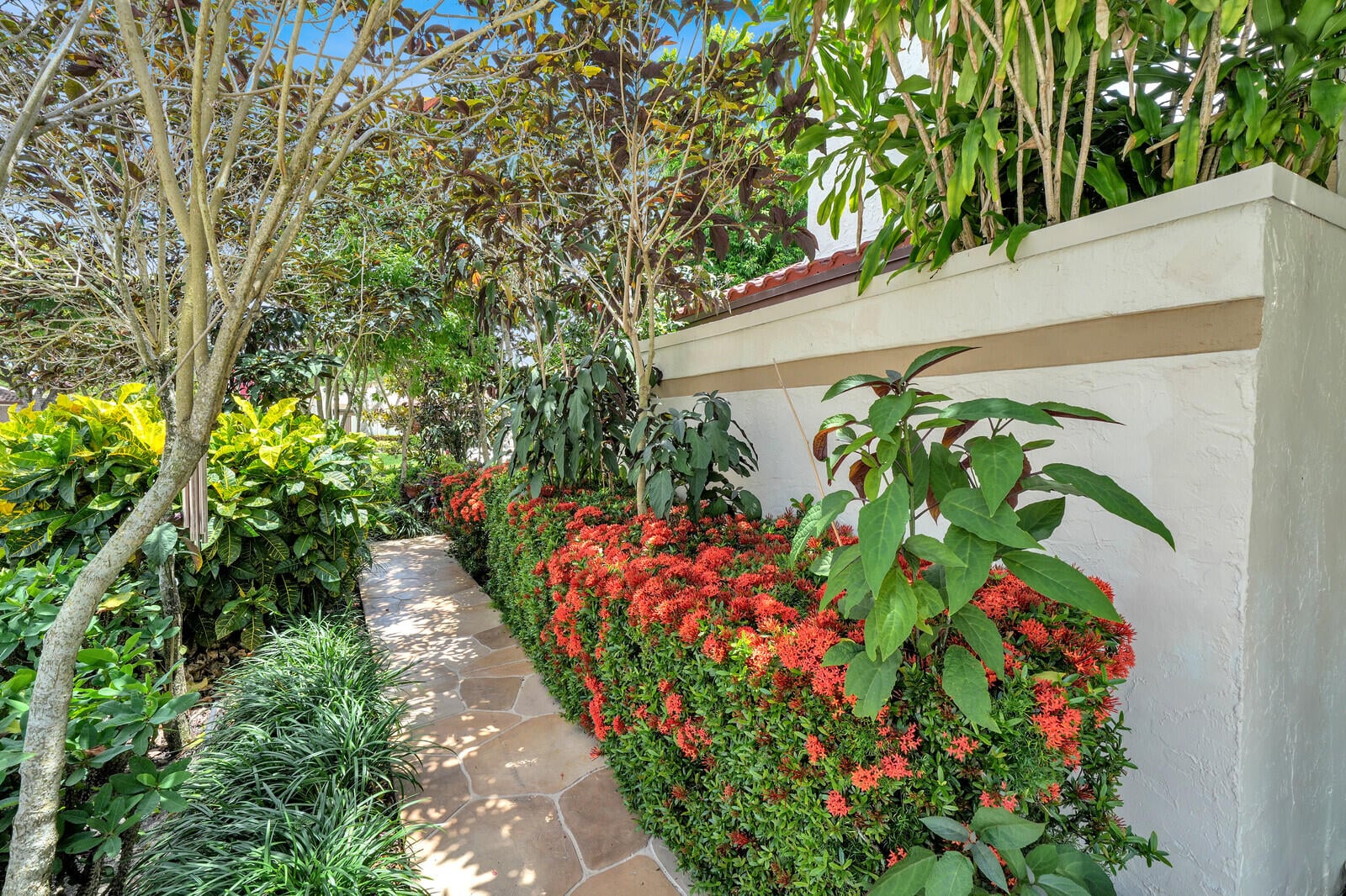 Residence photo 4