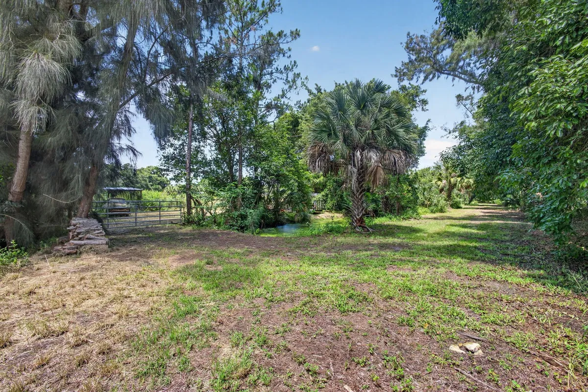 Residence photo 7