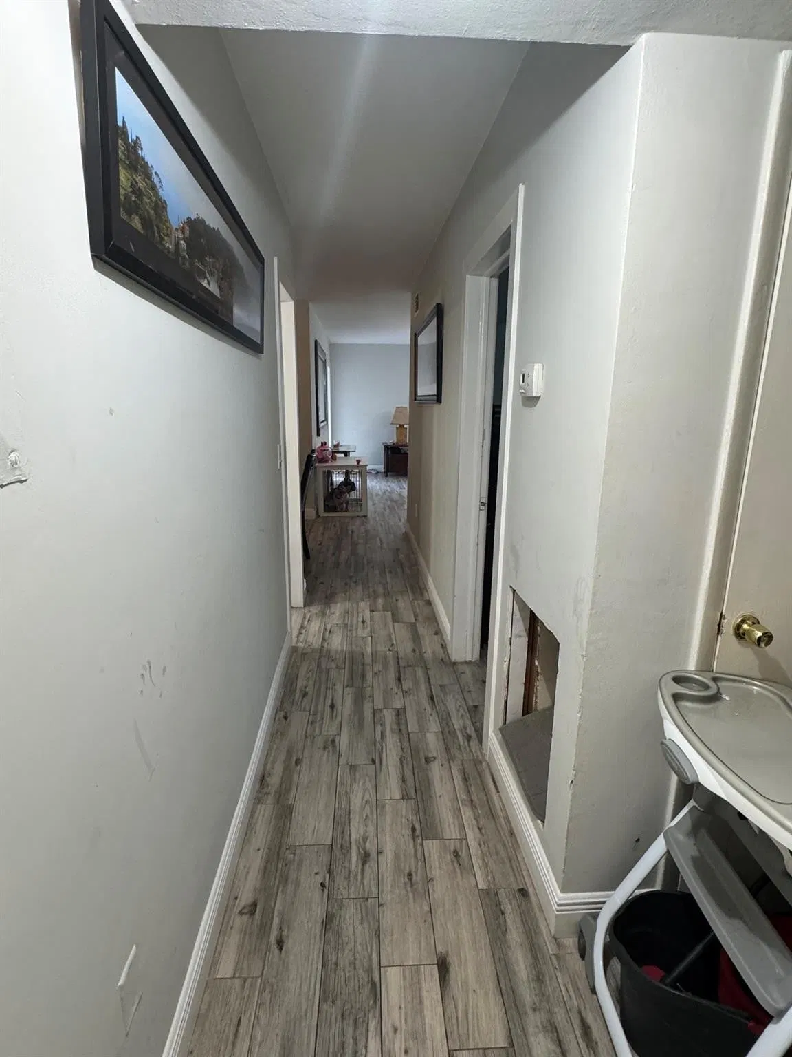 Boca Raton Unit 101 photo 7