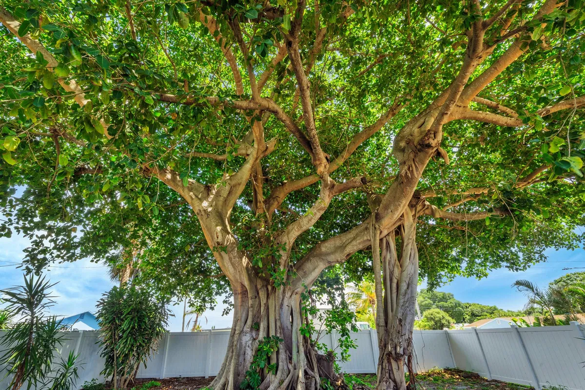 West Palm Beach Residence photo 52