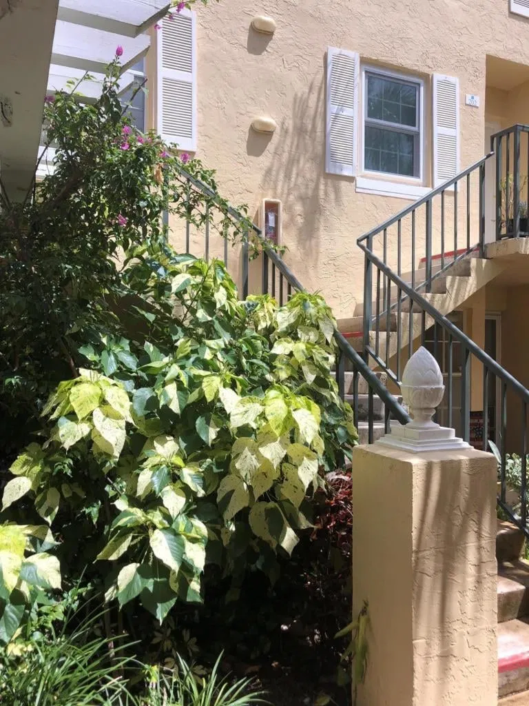 Unit 206 photo 10