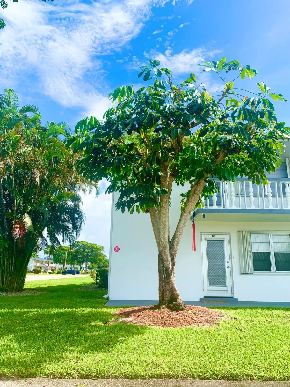 Residence