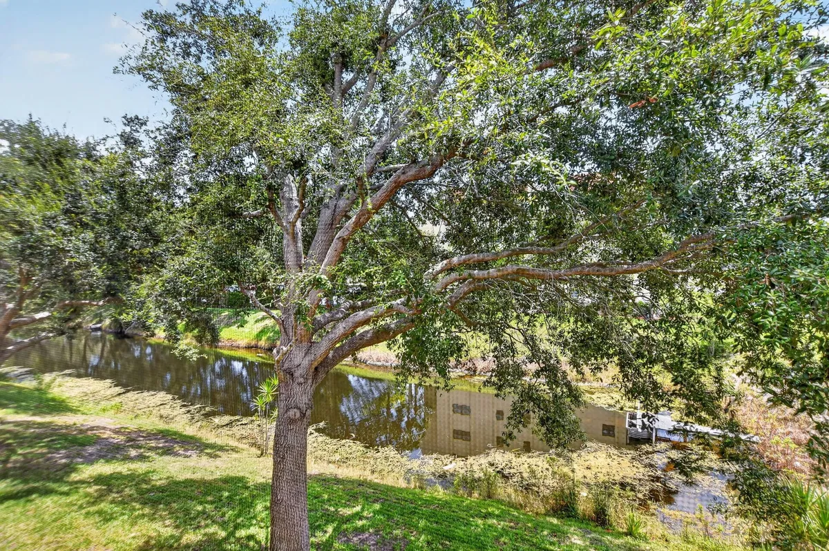 Unit 1029 photo 34