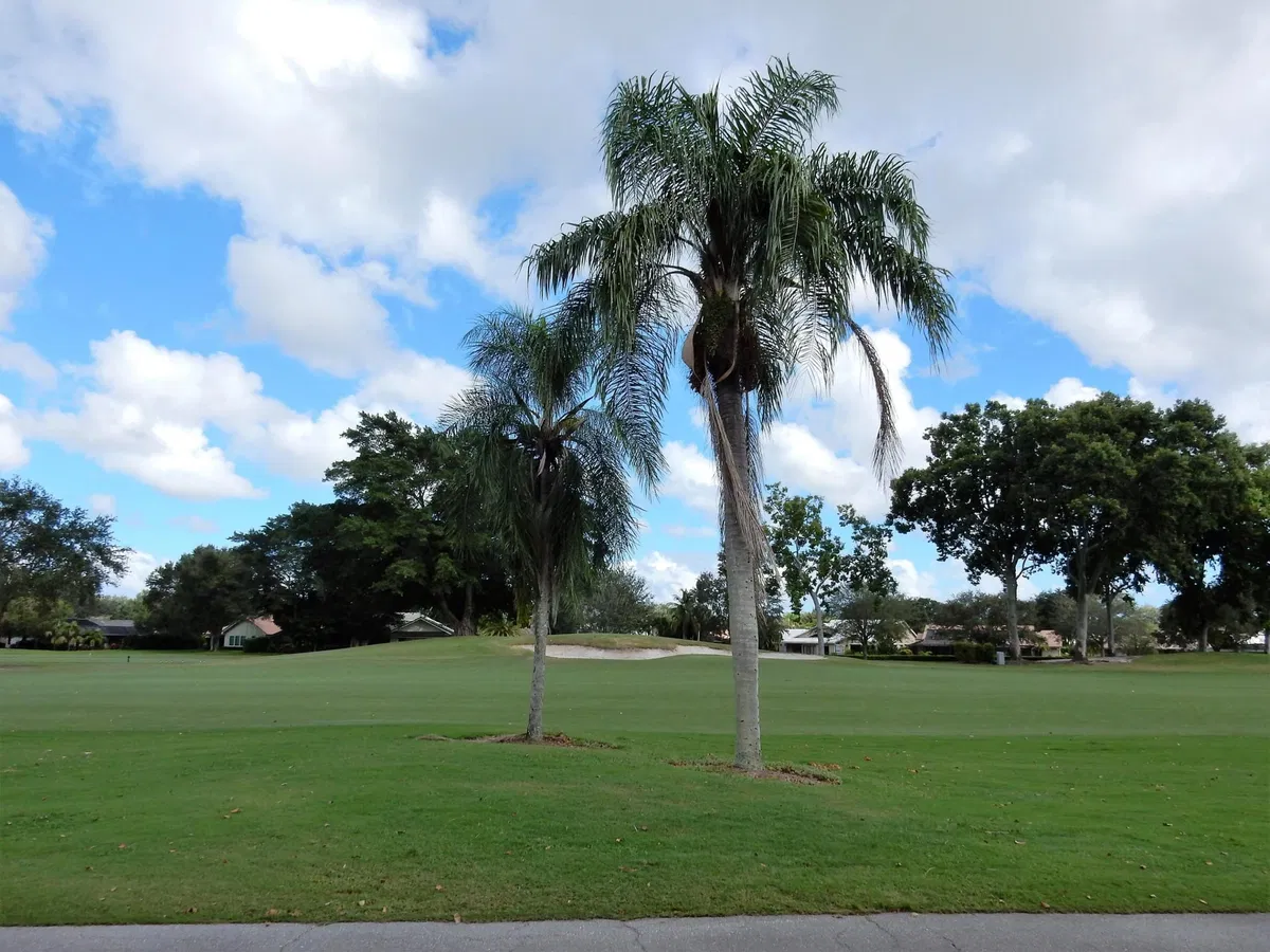 PGA National Palm Beach Gardens Residence photo 13