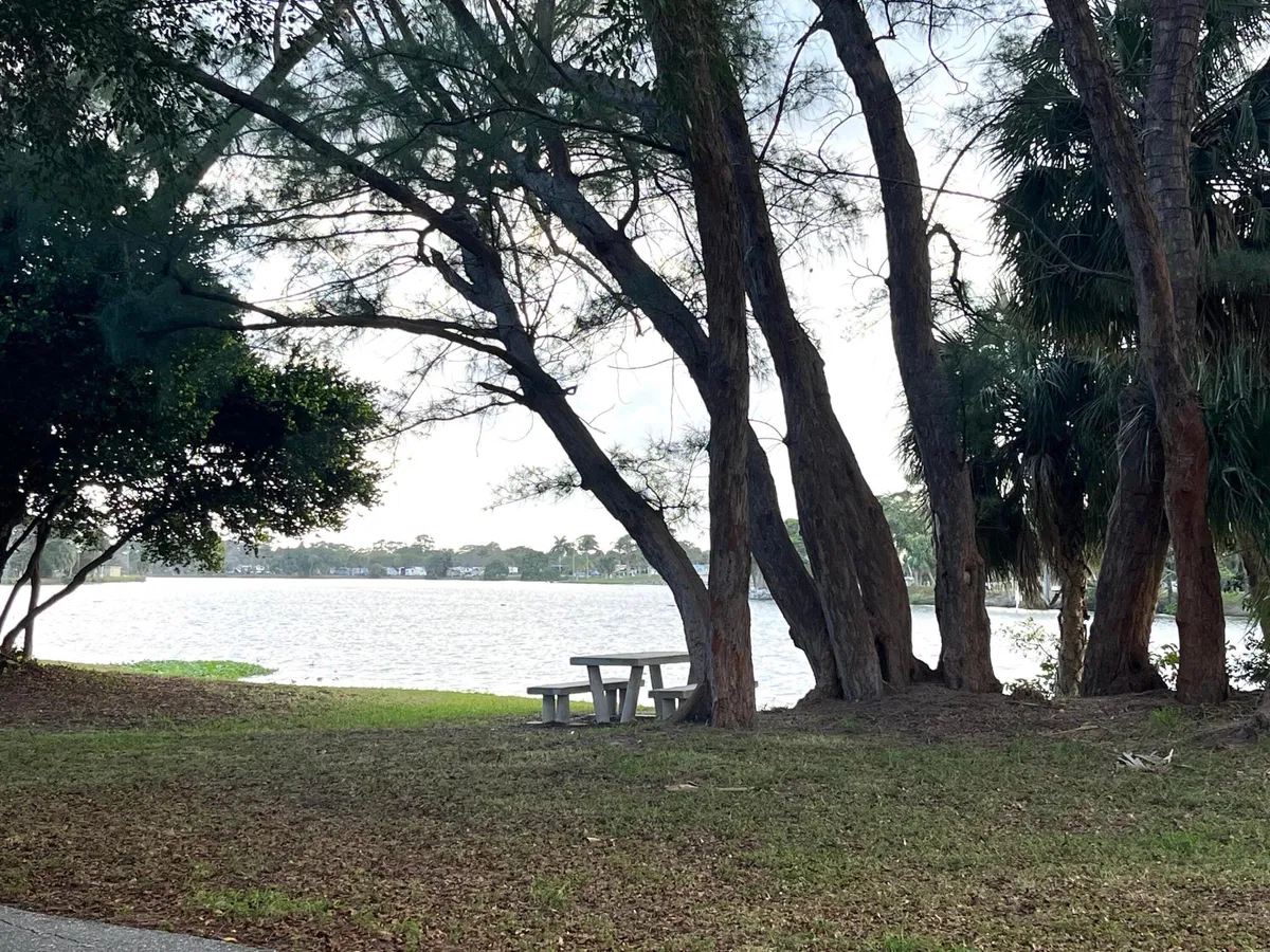 Unit 207 photo 28