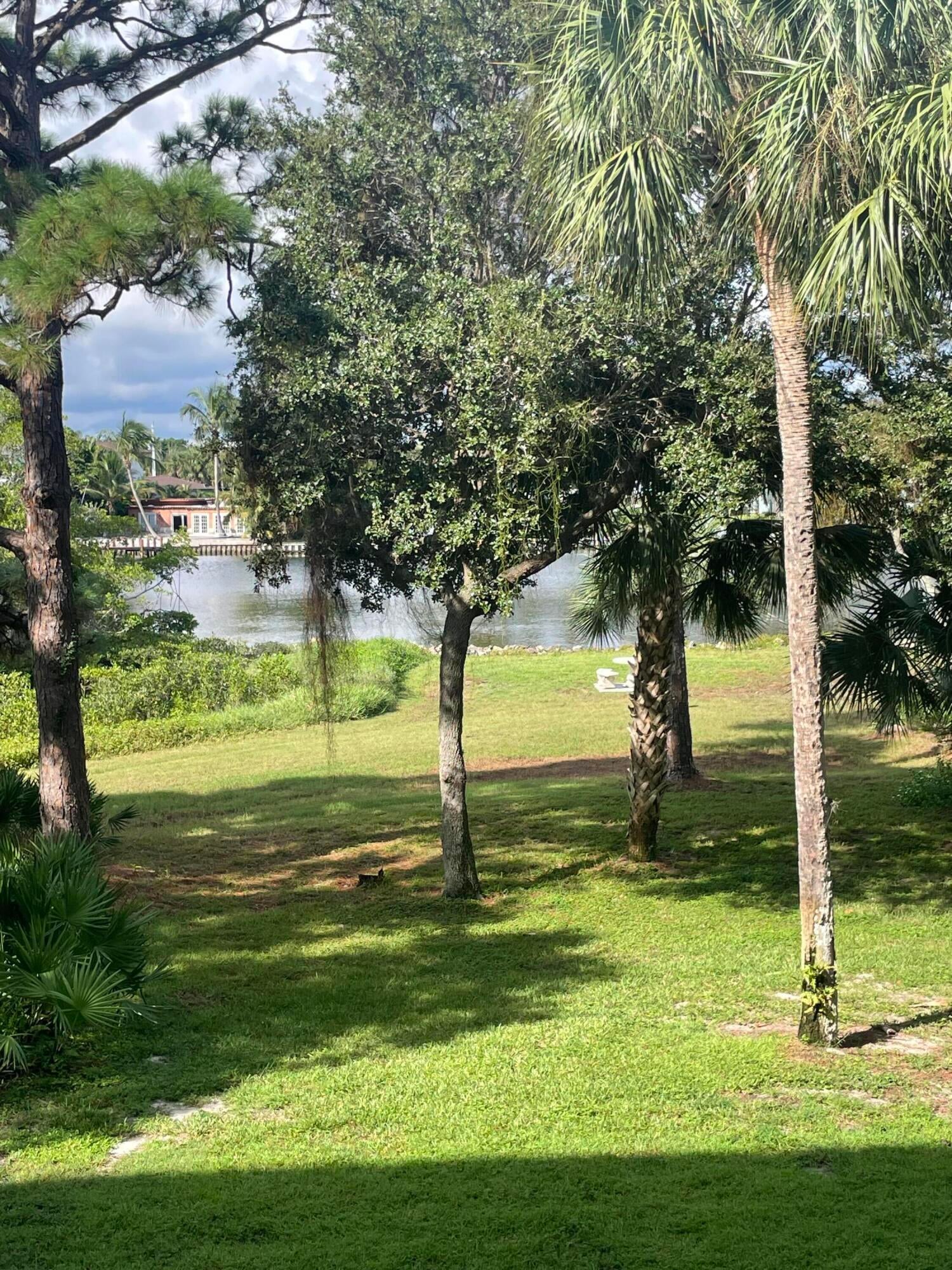 Unit 203 photo 31