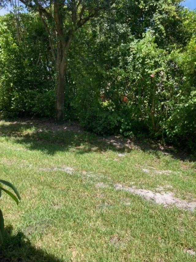 Unit 102 photo 10