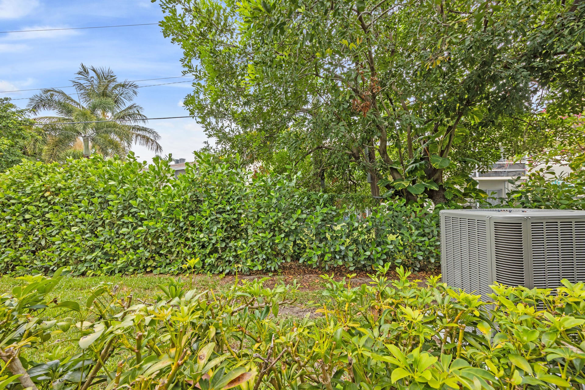 Unit 106 photo 16