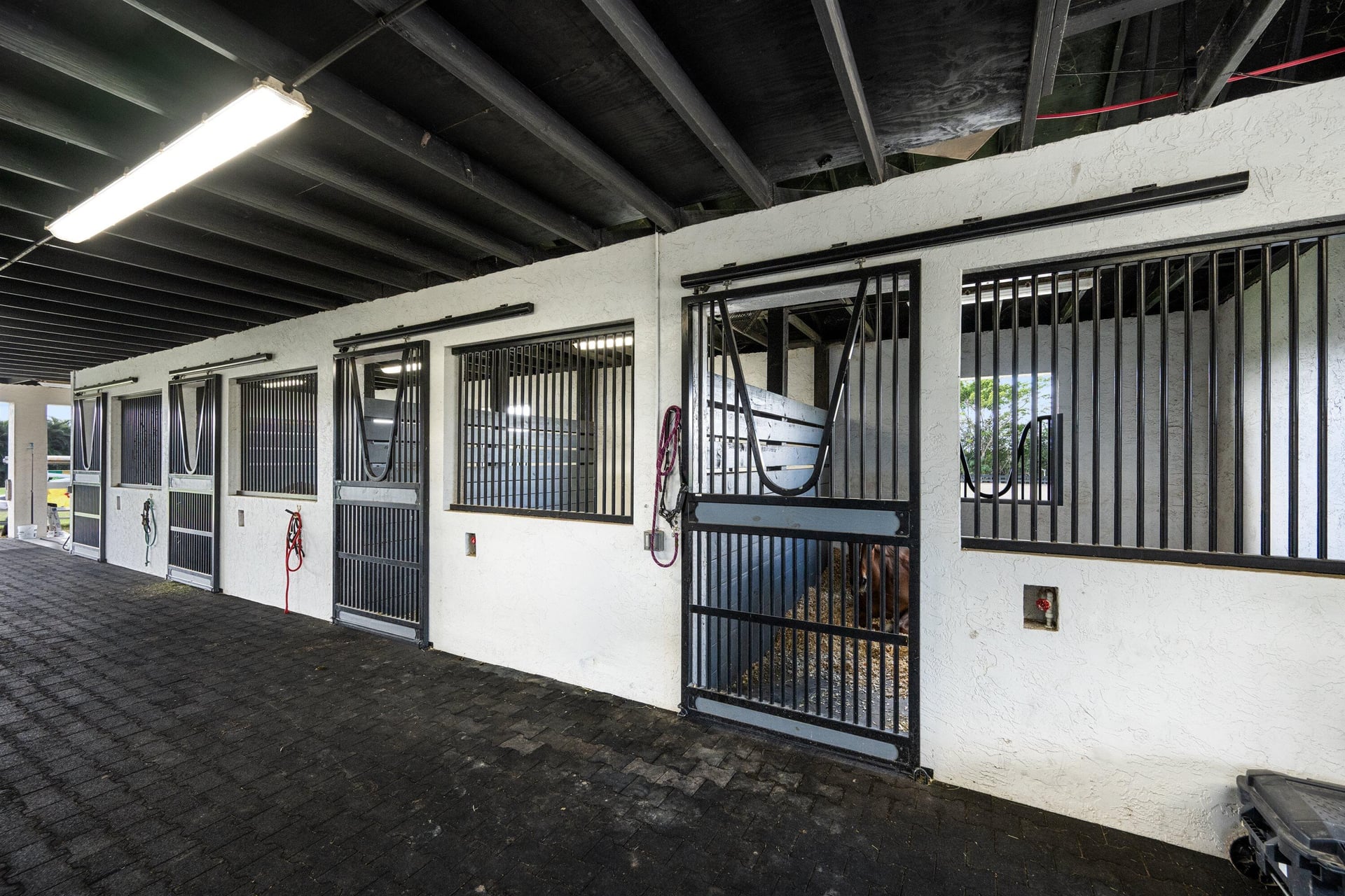 Palm Beach Point Residence photo 64