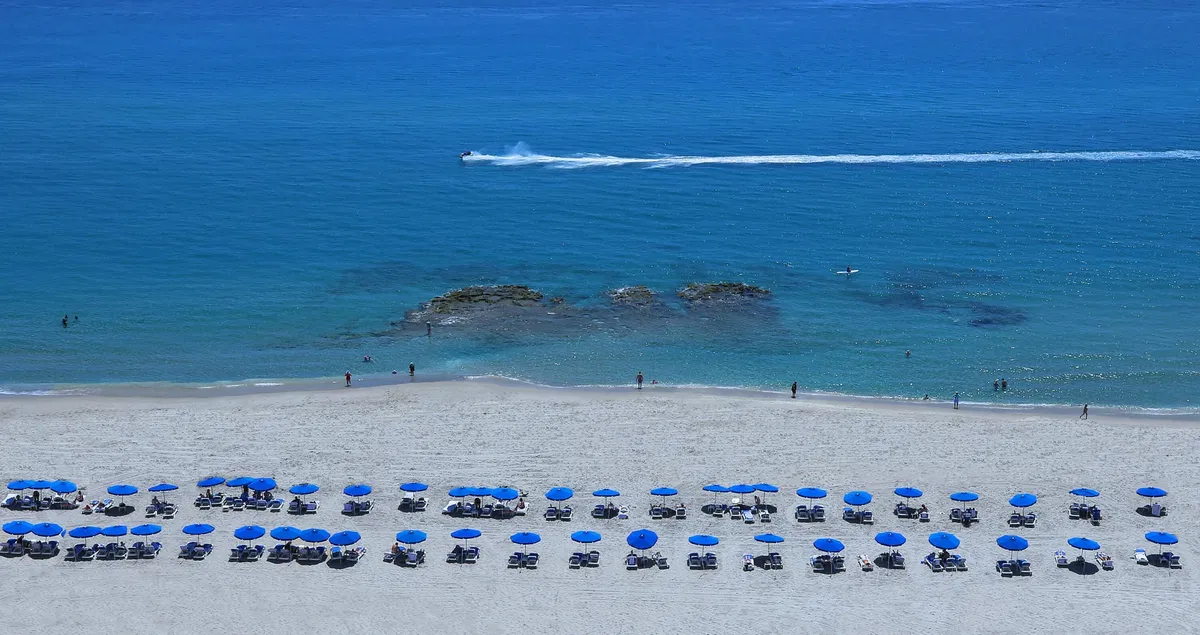 Renaissance on the Ocean Unit 1450 photo 103