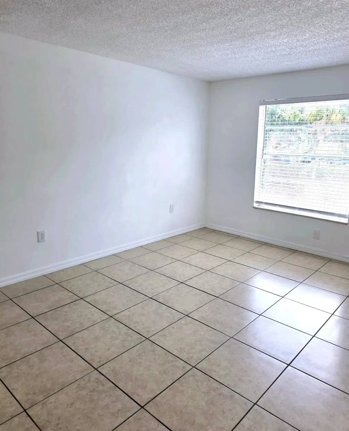 Unit 204 photo 7