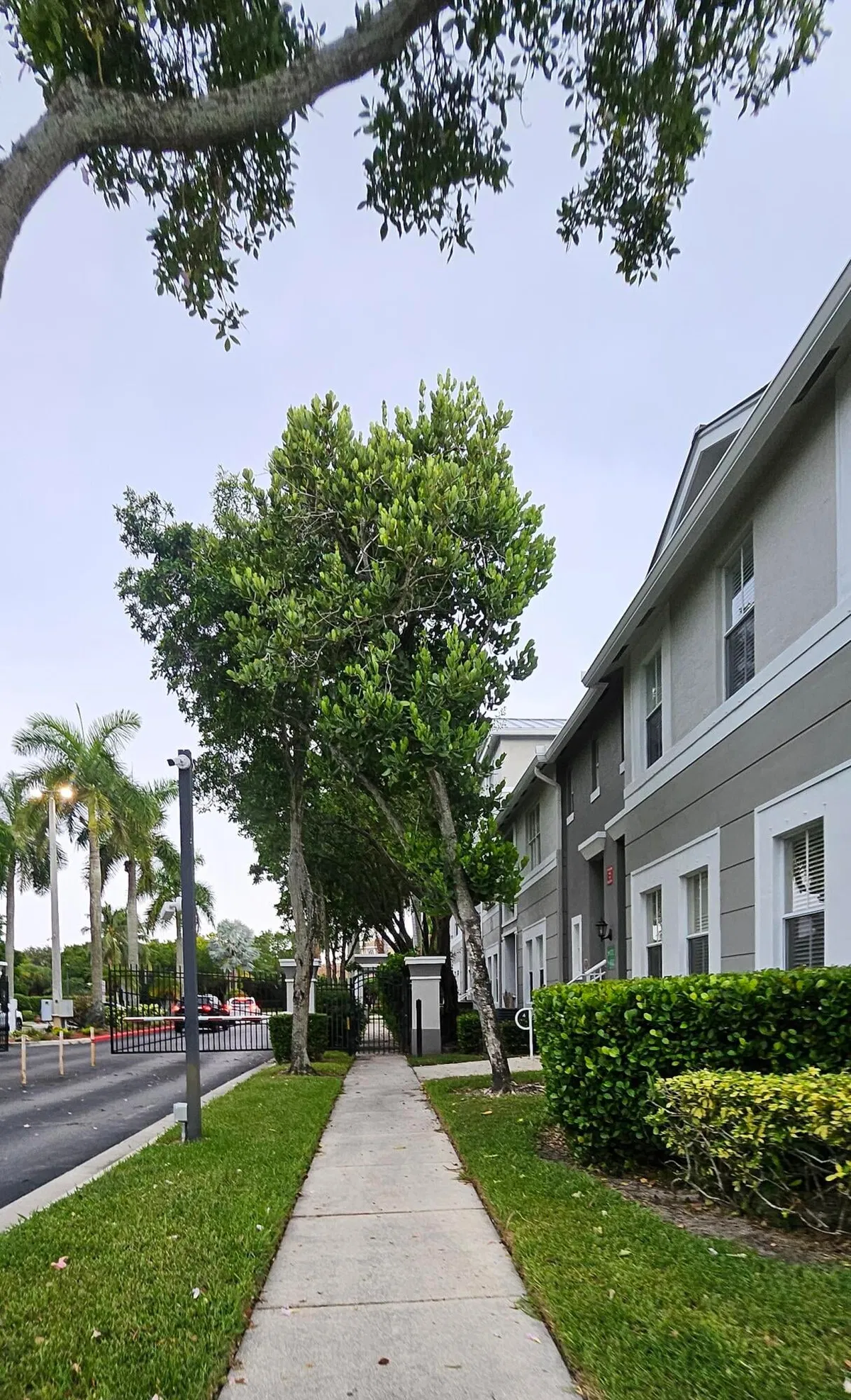 Unit 423 photo 4